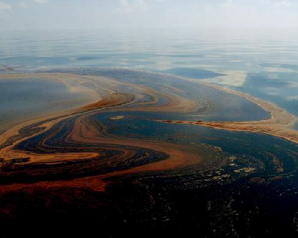 Deepwater Horizon / BP Oil Spill Cleanup Response