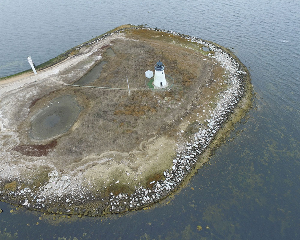 Bird Island Ecosystem Restoration
